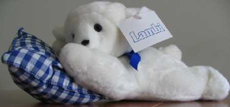 Lambi